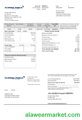 USA Florida Public Utilities business utility bill template in Word and PDF formats